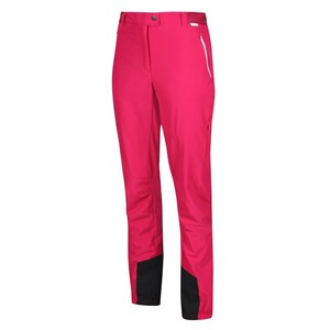 Regatta Outdoorhose Damen Mountain Trs III