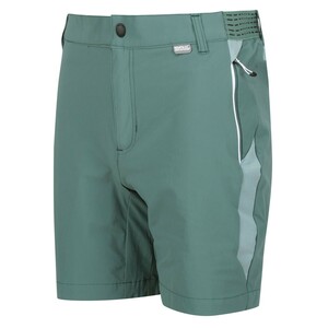 Regatta Mountain Shorts II Wanderhose f�r Herren