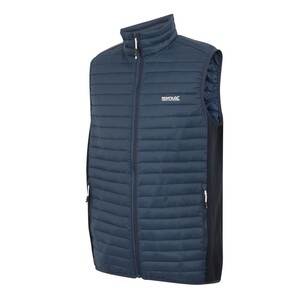 Regatta Andreson Steppweste / Bodywarmer fr Herren