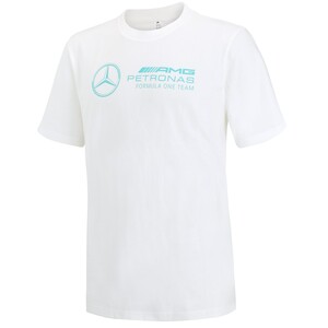 adidas Mercedes AMG Formula one Team DNA T Shirt Herren