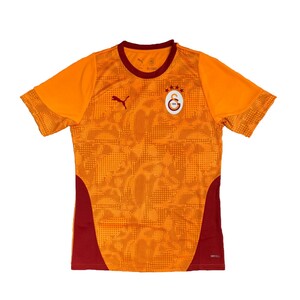 PUMA Galatasaray Istanbul Trainings Trikot der Saison 25-26