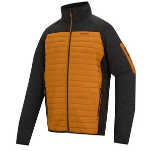 Regatta Steppjacke Ceden Hybrid fr Herren