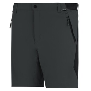 Regatta Mountain Shorts f�r Herren