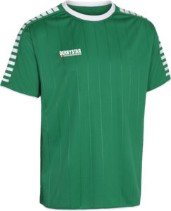 Derbystar Hyper Trikot - grn/weiss