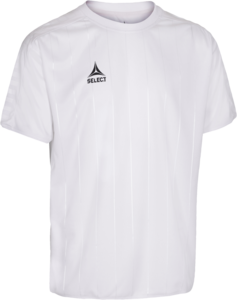 Select Argentina Trikot - wei�/wei�