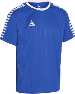 Select Argentina Trikot - blau/wei�