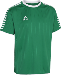 Select Argentina Trikot - grn/wei