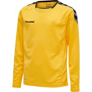 Hummel Hmlauthentic Kids Poly Jersey L/S - sports yellow/black