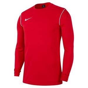 Nike Dri-FIT Park20 Big Kinder Fu�ball Crew