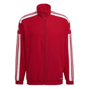 adidas Herren Squadra 21 Prsentationsjacke