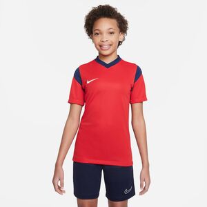 Nike Dri-Fit Park Derby III Trikot