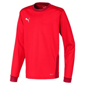 Puma Teamgoal 23 Jersey Ls Jr - puma red-chili pepper