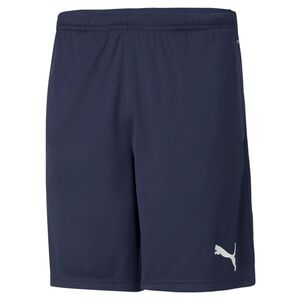 Puma teamRISE Training Shorts - blau