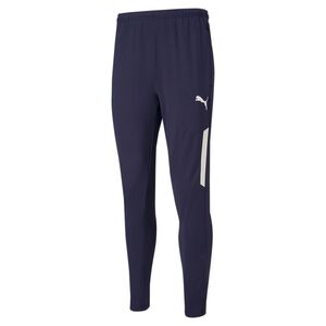 Puma teamLIGA Training Pants Pro - blau