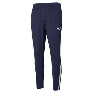 Puma teamLIGA Training Pants - blau