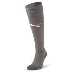 Puma Team LIGA Socks - grau