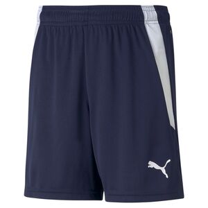 Puma teamLIGA Shorts Jr - blau