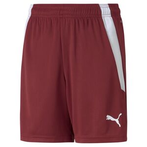 Puma teamLIGA Shorts Jr - rot