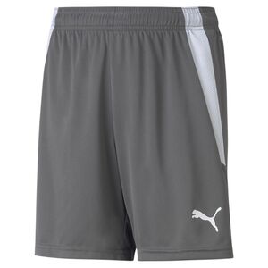 Puma teamLIGA Shorts Jr - grau