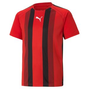 Puma teamLIGA Striped Jersey Jr - rot