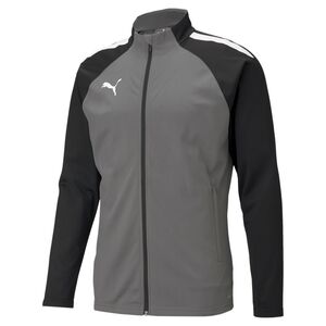 Puma teamLIGA Training Jacket - grau