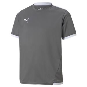 Puma teamLIGA Jersey Jr - grau