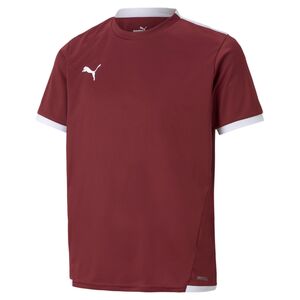 Puma teamLIGA Jersey Jr - rot