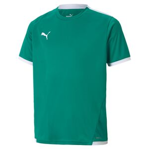 Puma teamLIGA Jersey Jr - gr�n