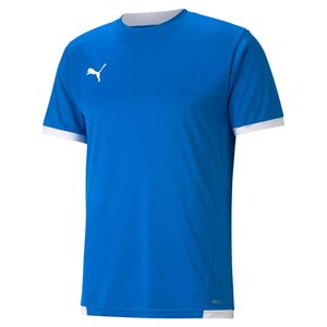 Puma teamLIGA Jersey - blau