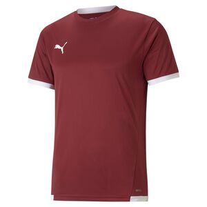 Puma teamLIGA Jersey - rot