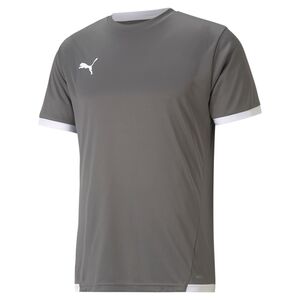 Puma teamLIGA Jersey - grau
