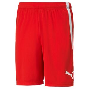 Puma teamLIGA Shorts - rot