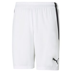 Puma teamLIGA Shorts - weiss