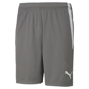 Puma teamLIGA Shorts - grau