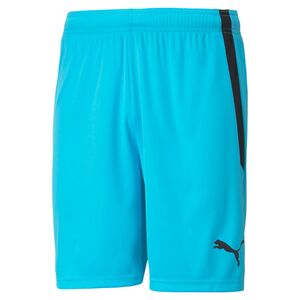 Puma teamLIGA Shorts - blau