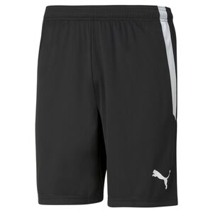 Puma teamLIGA Shorts - schwarz