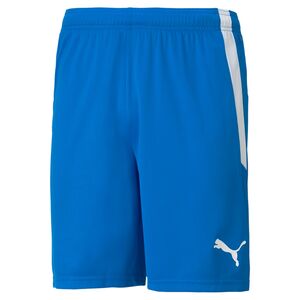 Puma teamLIGA Shorts - blau