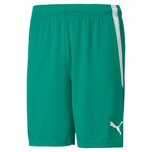 Puma teamLIGA Shorts - gr�n