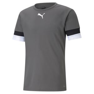 Puma teamRISE Jersey - grau