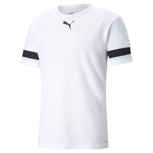 Puma teamRISE Jersey - weiss