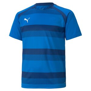Puma teamVISION Jersey Jr - blau