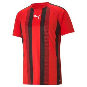 Puma teamLIGA Striped Jersey - rot