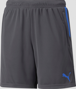 Puma Individualcup Shorts Jr - asphalt-bluemazing