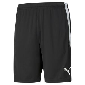 Puma teamLIGA  Training Shorts - schwarz