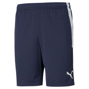 Puma teamLIGA  Training Shorts - blau