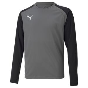 Puma teamPACER GK LS Jersey Jr - grau