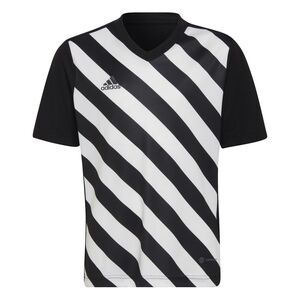 adidas Kinder Entrada 22 Graphic Trikot