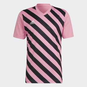 adidas Herren Entrada 22 Graphic Trikot