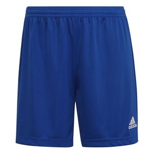 adidas Damen Entrada 22 Shorts