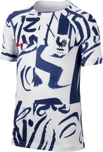 Nike Kinder T-Shirt Fff Y Df Acdpr Ss Top Inf Pm